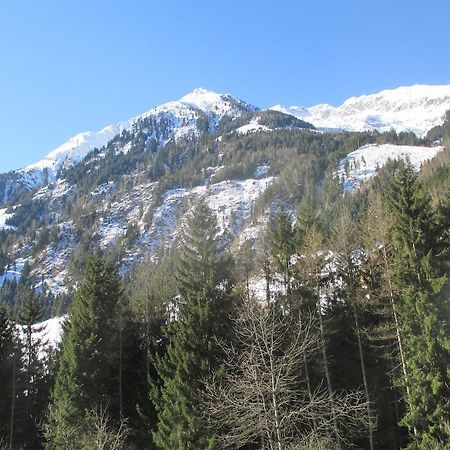 Bamerhof Villa Mittersill Dış mekan fotoğraf